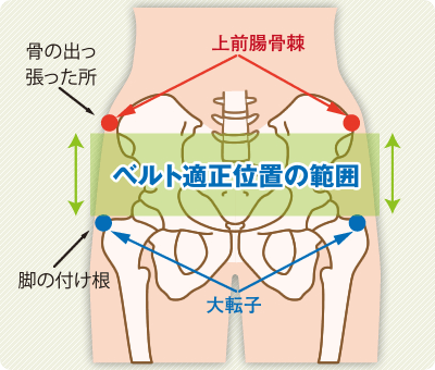 ベルト適正範囲